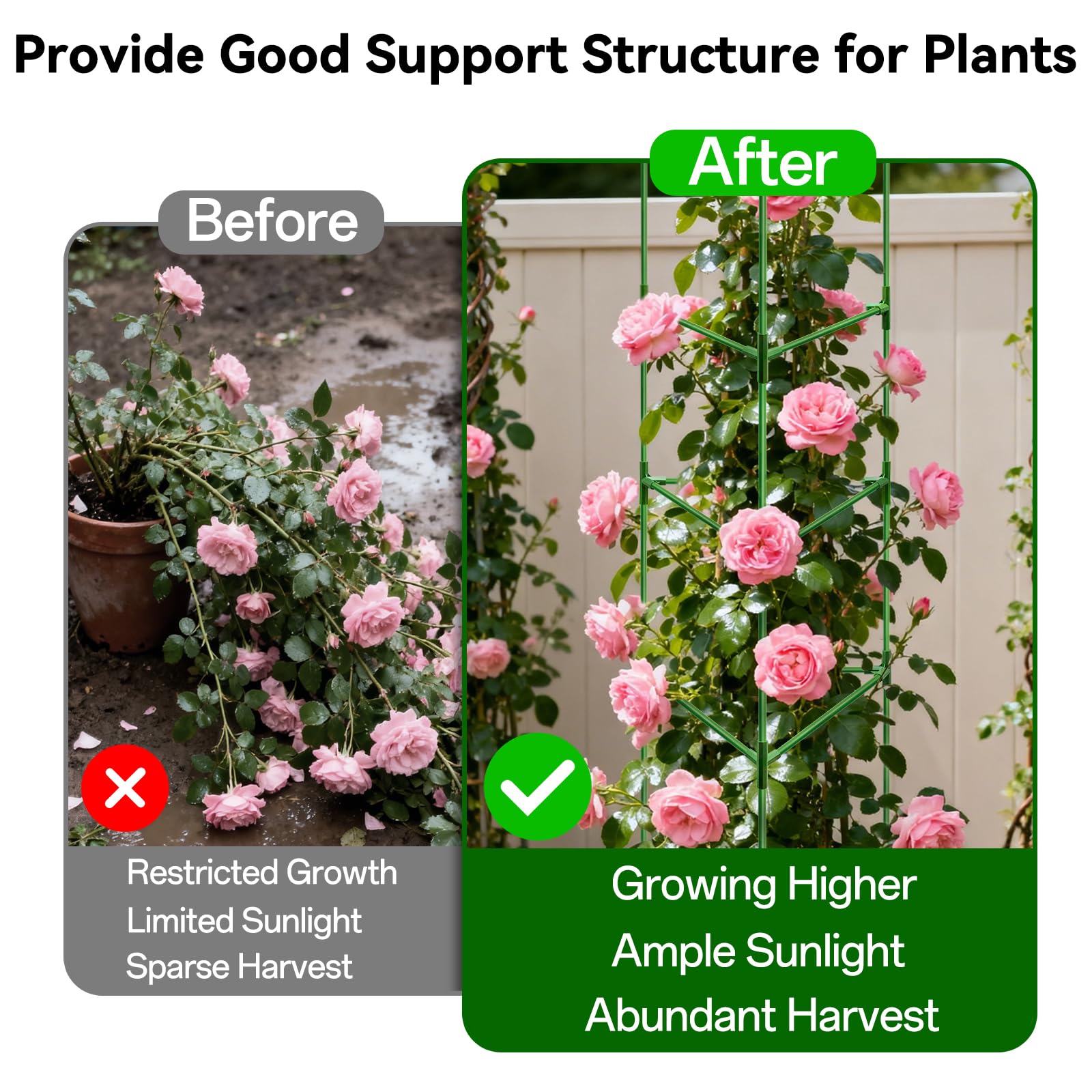 halatool full 72-inch cage installed in garden for strong vertical growth