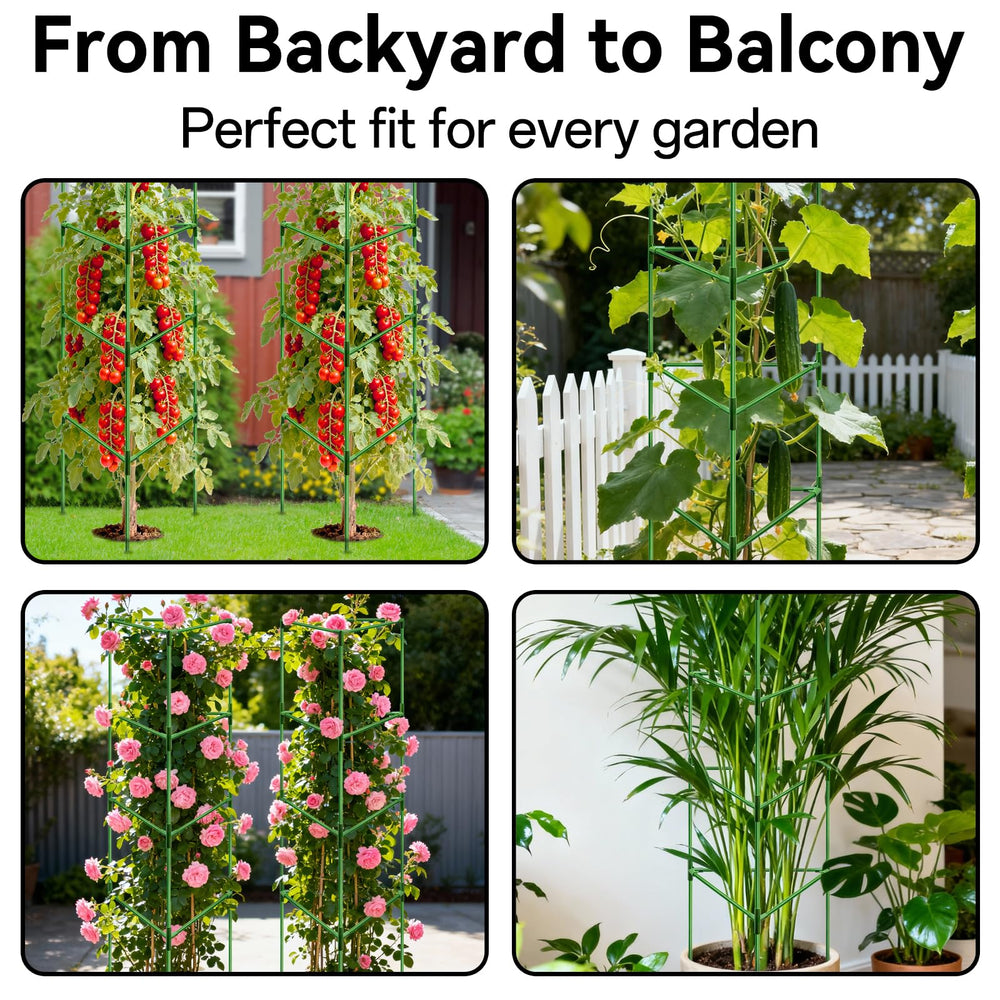 halatool supporting tomato plant during harvest for easier picking