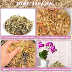 Halatool moss packed around orchid roots for moisture retention benefit