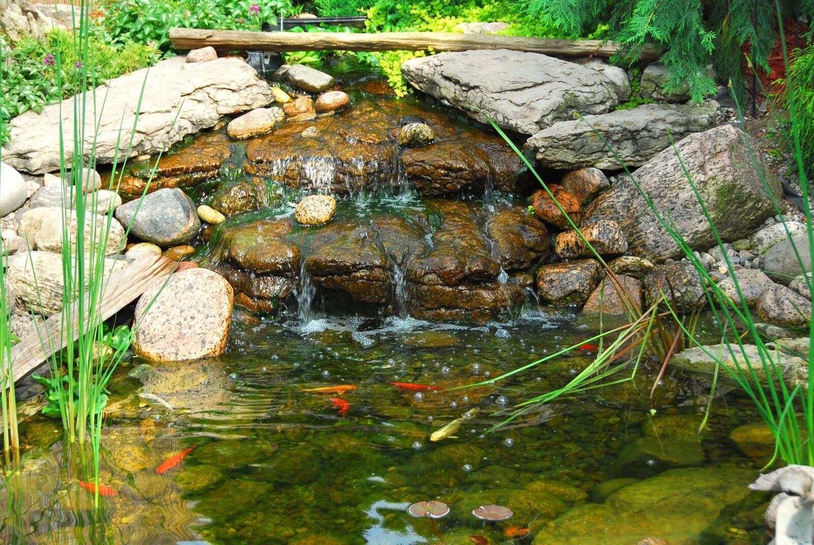 HALF OFF PONDS controller installed near pond demonstrating discreet water management