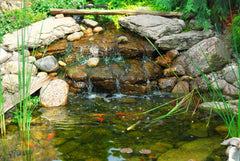 HALF OFF PONDS controller installed near pond demonstrating discreet water management