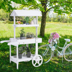 Hanaive bottom shelf with items demonstrating sturdy load capacity