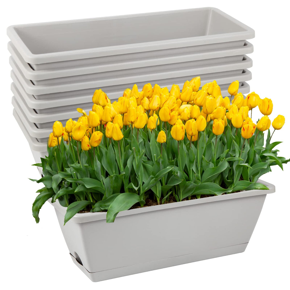 Hananojia front view of eight rectangular window box planters showing clean lines and uniform look, enhances compact gardening