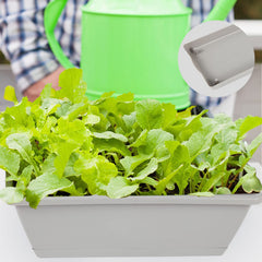 Hananojia planter on a kitchen windowsill with herbs illustrating easy access and fresh cooking benefits