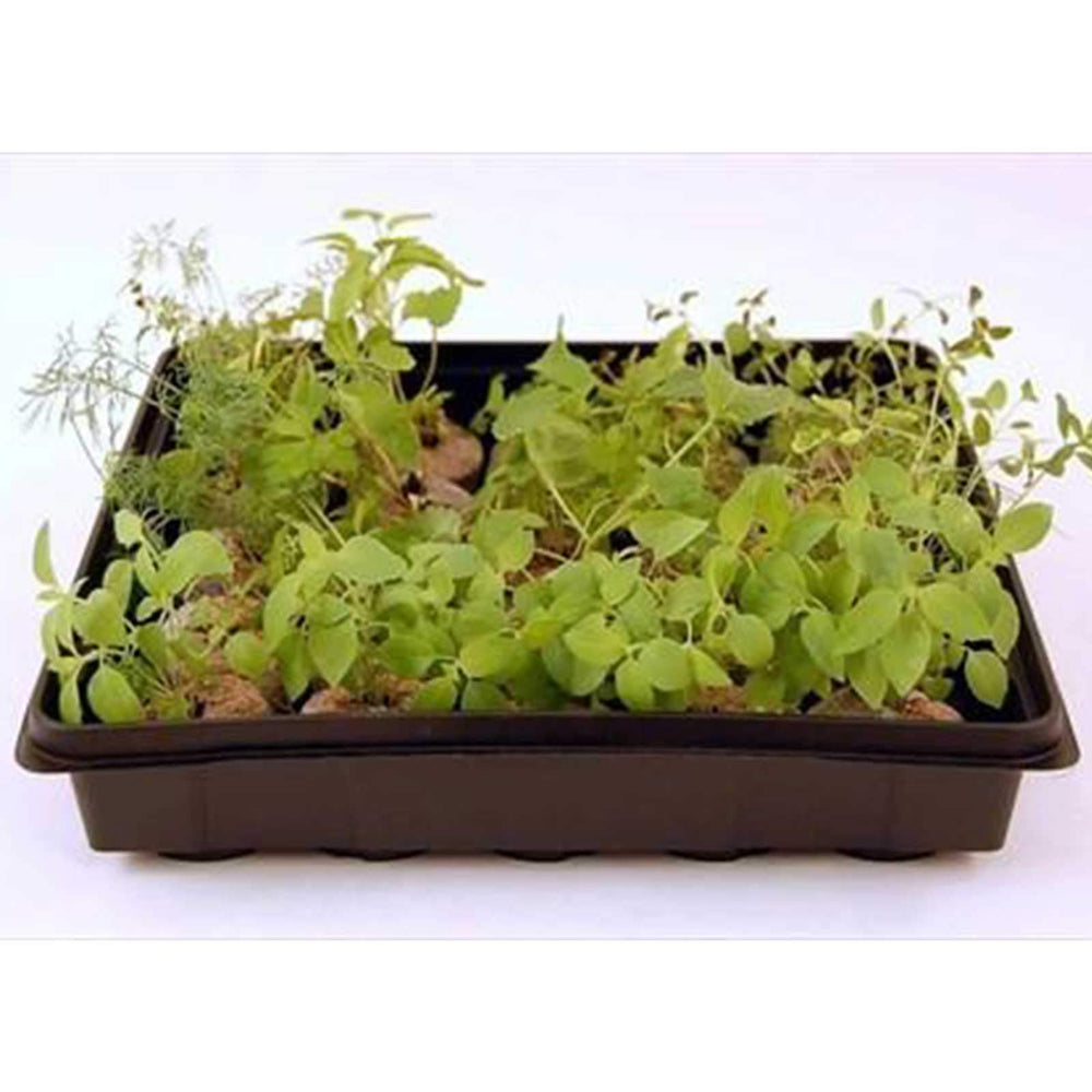 Handy Pantry tray setup with hydroponic mat illustrating soilless use