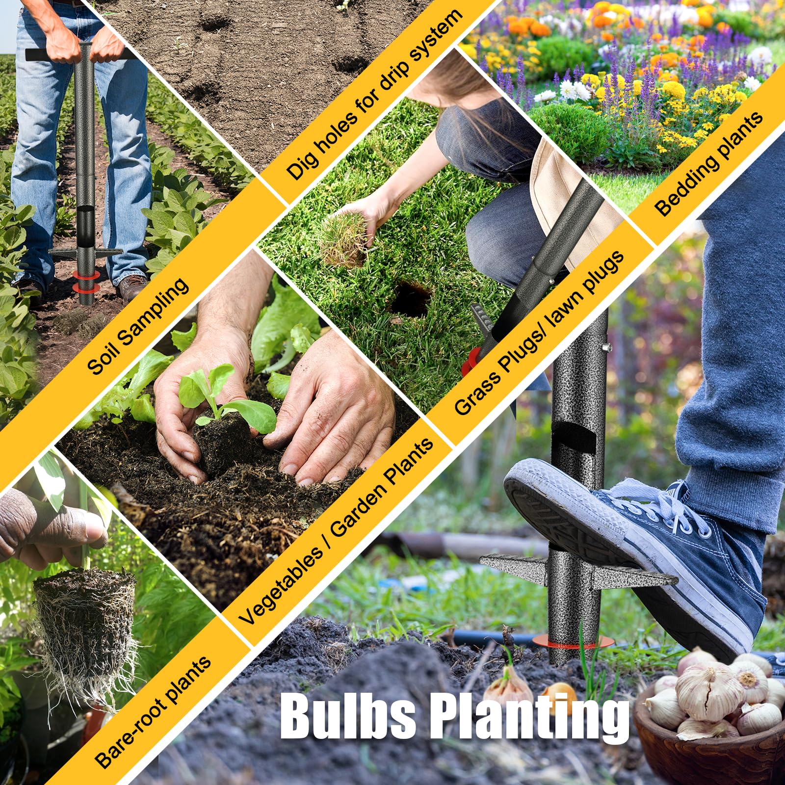 HANGMAICOME planting tulip bulb with correct depth for consistent growth