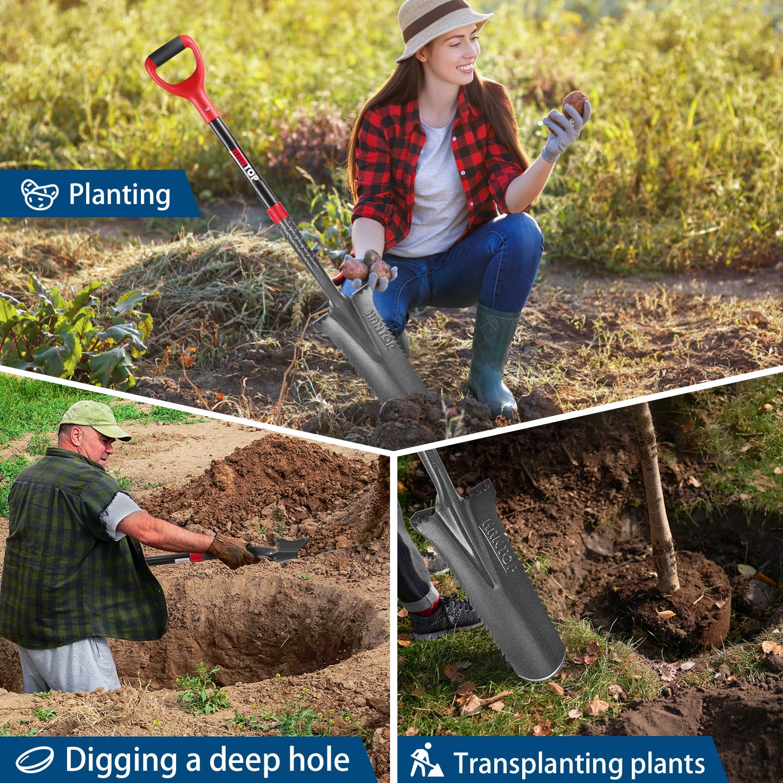 HANTOP used to transplant a small tree, preserves roots and minimizes disturbance