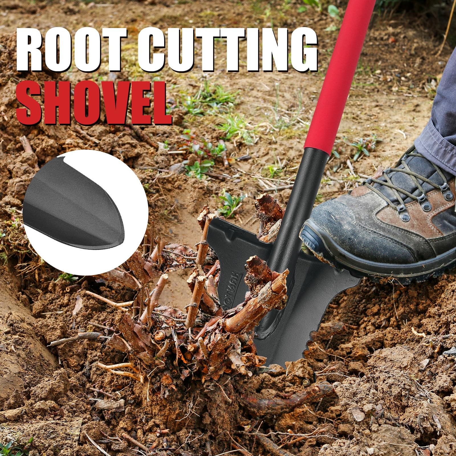 HANTOP transplanting a small tree demonstrating root cutting and planting