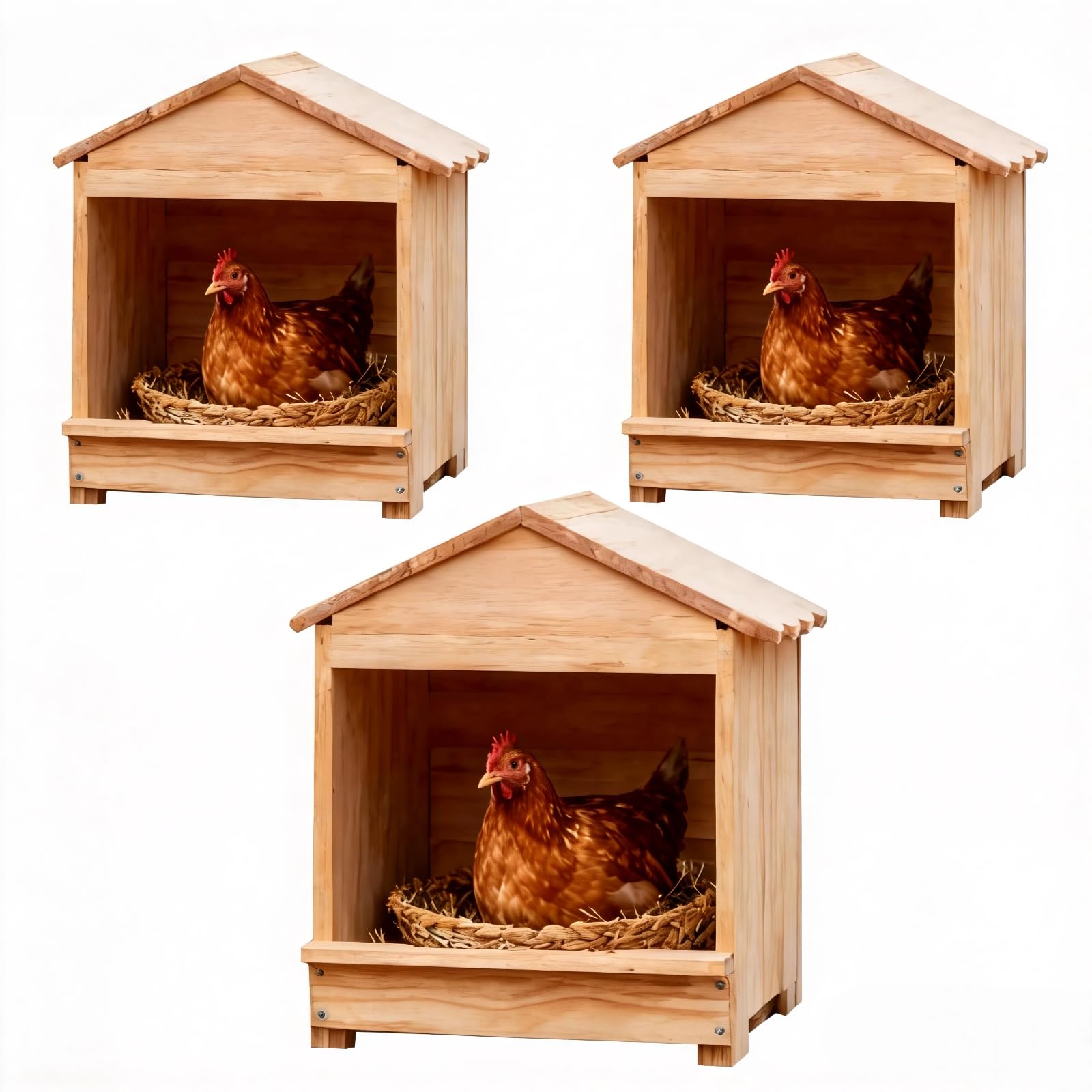 HaoCpetslian front view showing secure nesting entrance and easy egg access