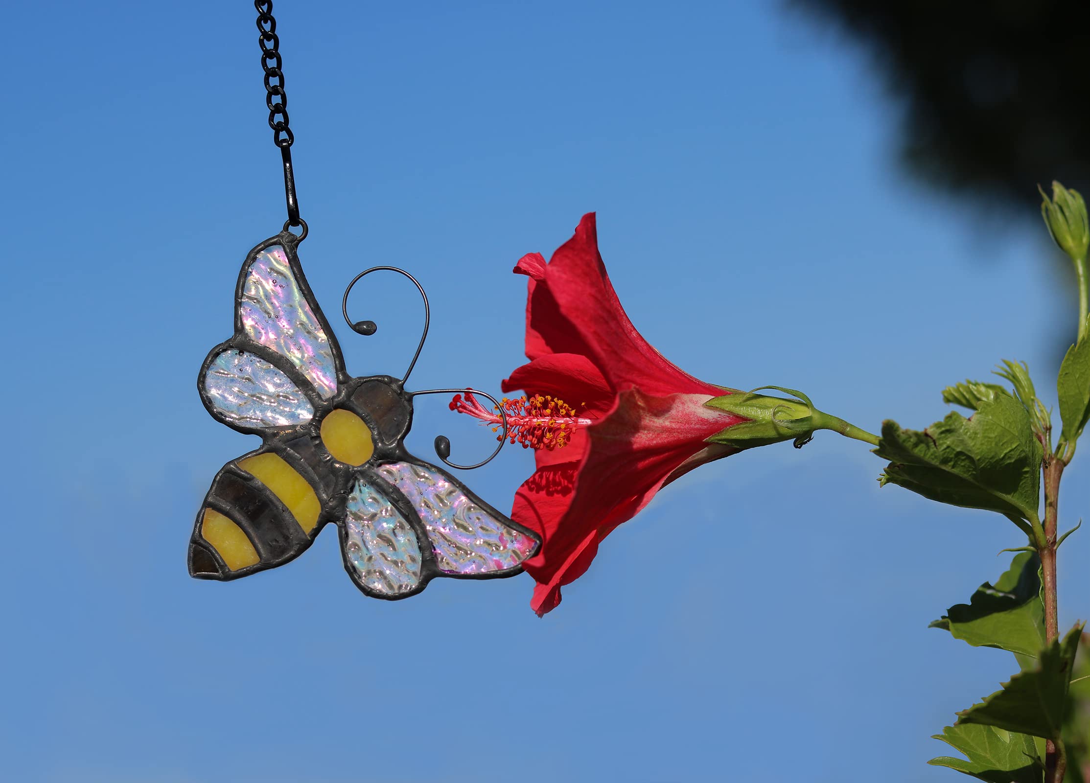 HAOSUM bee casting colorful shadow on wall demonstrating light effects