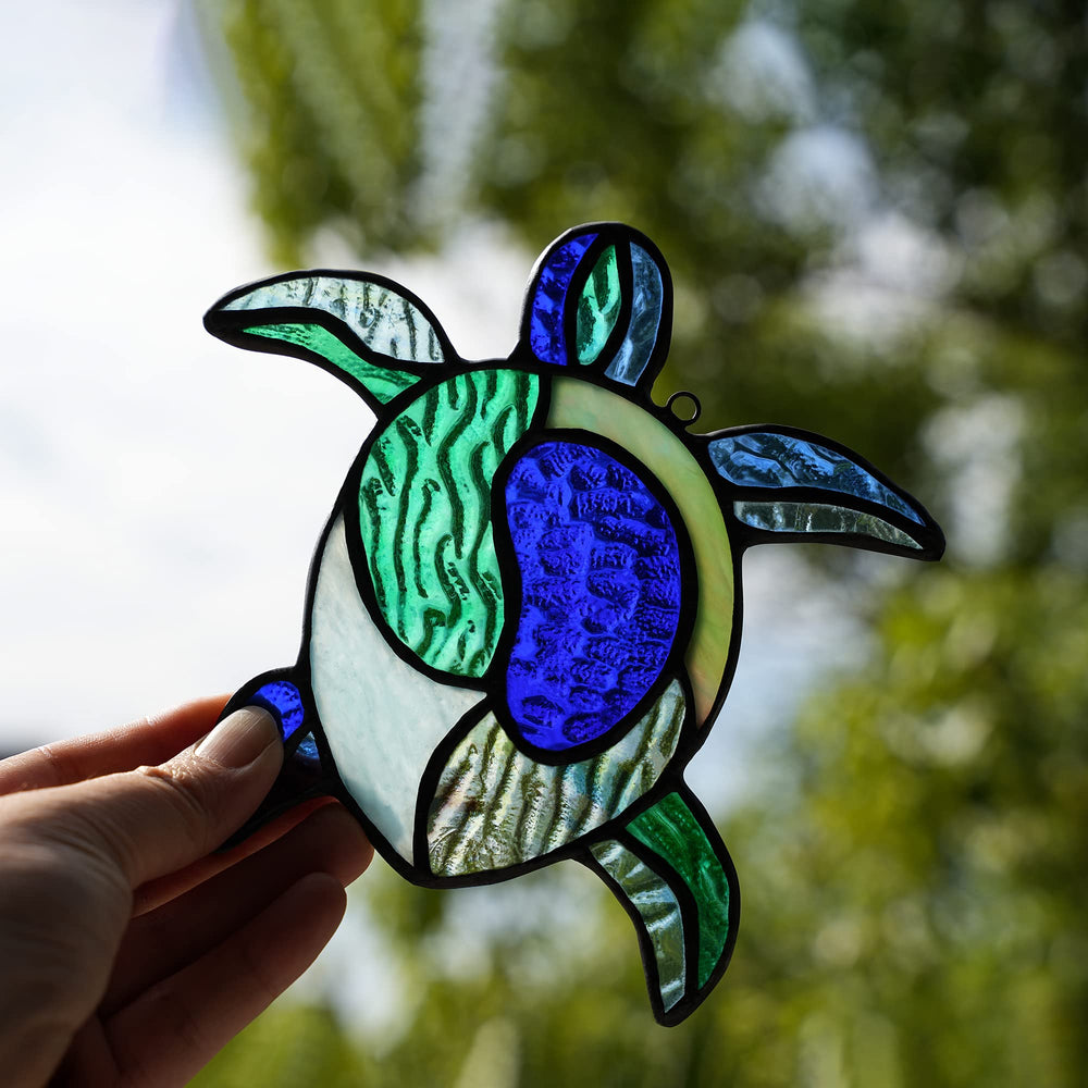 HAOSUM sea turtle protected in foam packaging ready for gifting