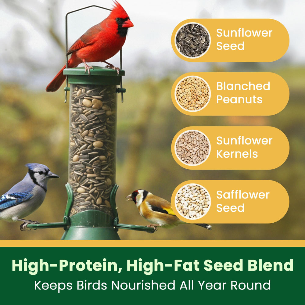 Happy Wings image of a cardinal feeding showing attraction of bright songbirds
