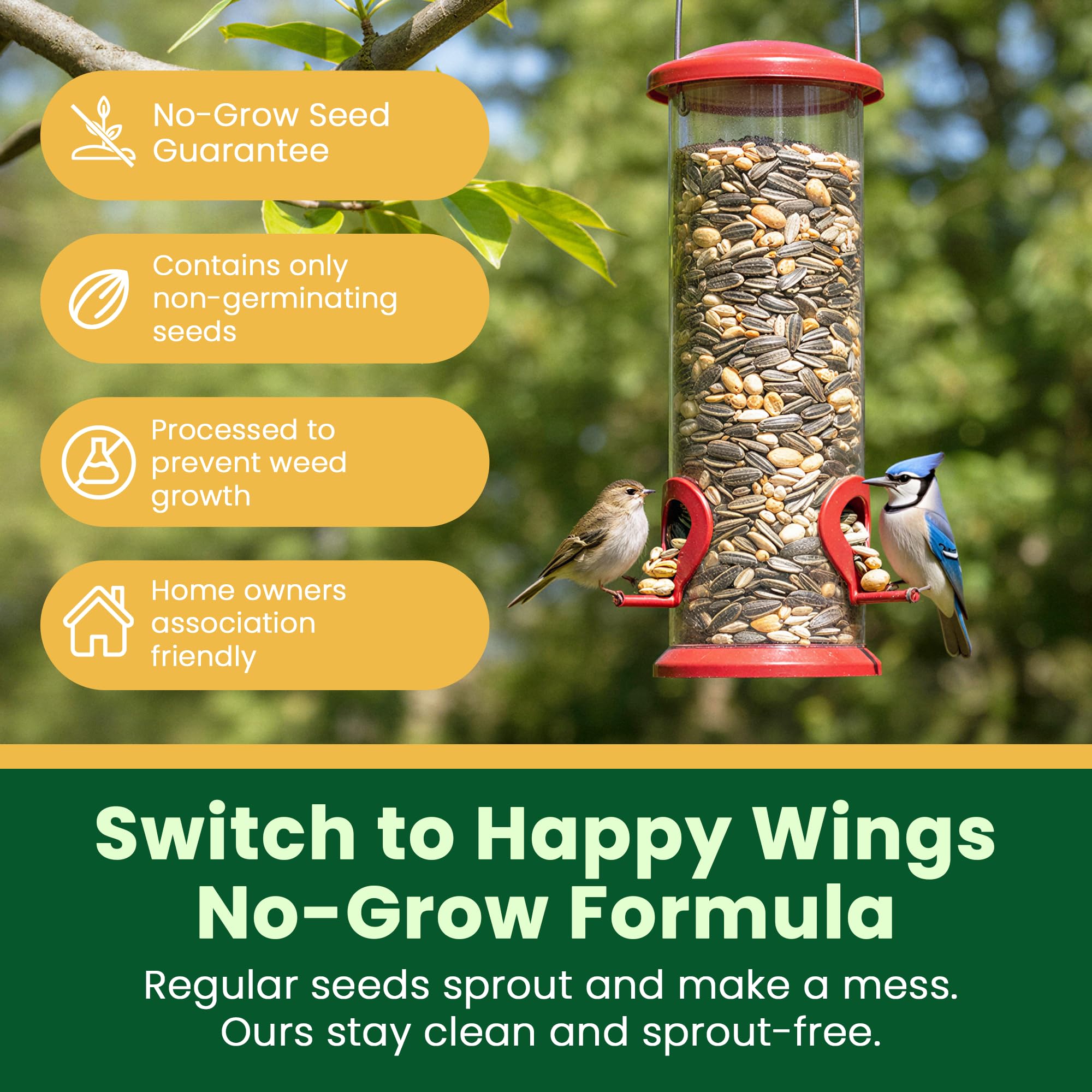 Happy Wings close-up of sunflower kernels highlighting high-oil seeds for energy