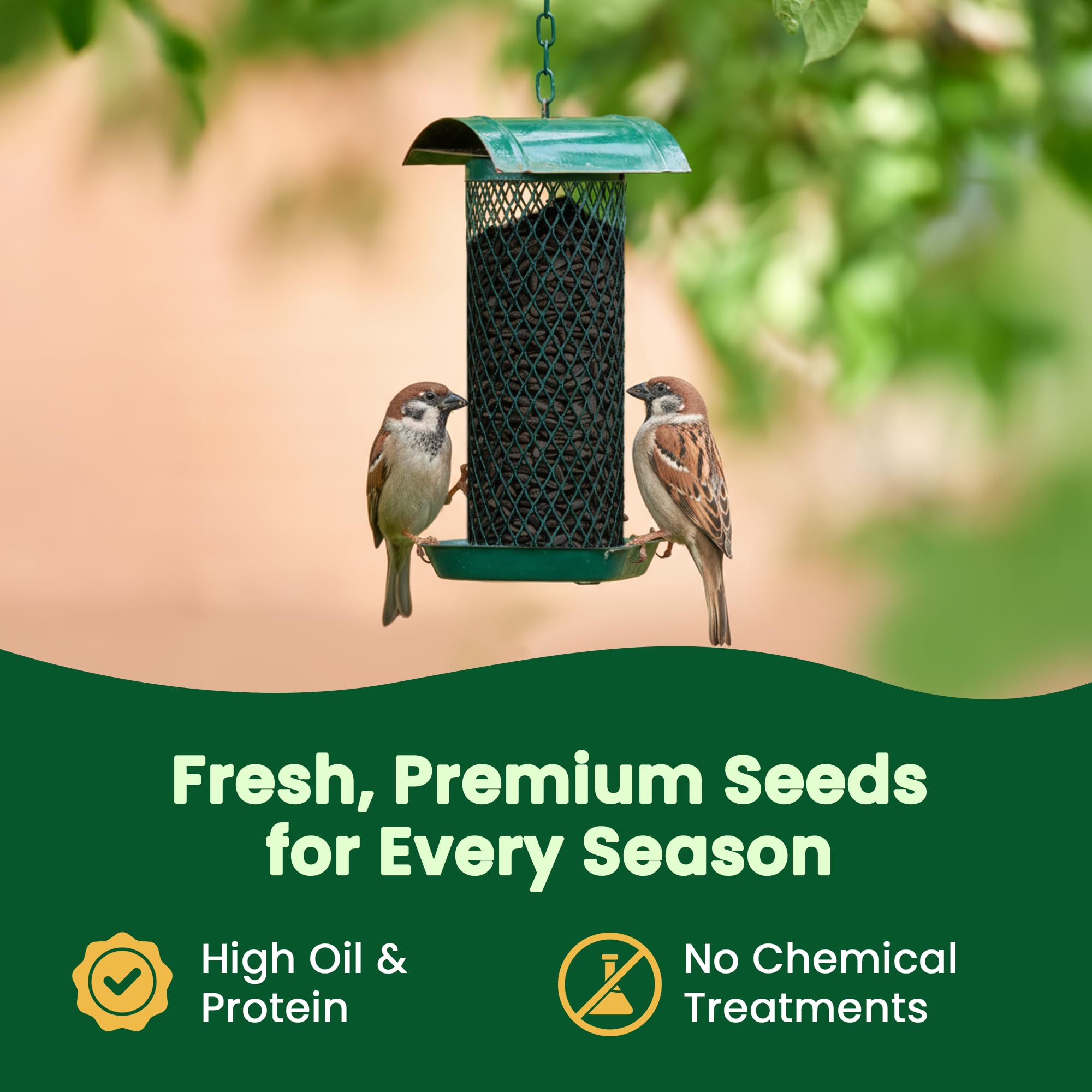 Happy Wings placed in a platform feeder to attract ground and tray feeders