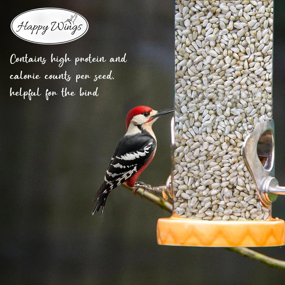 Happy Wings safflower seed in tube feeder attracting finches and titmice
