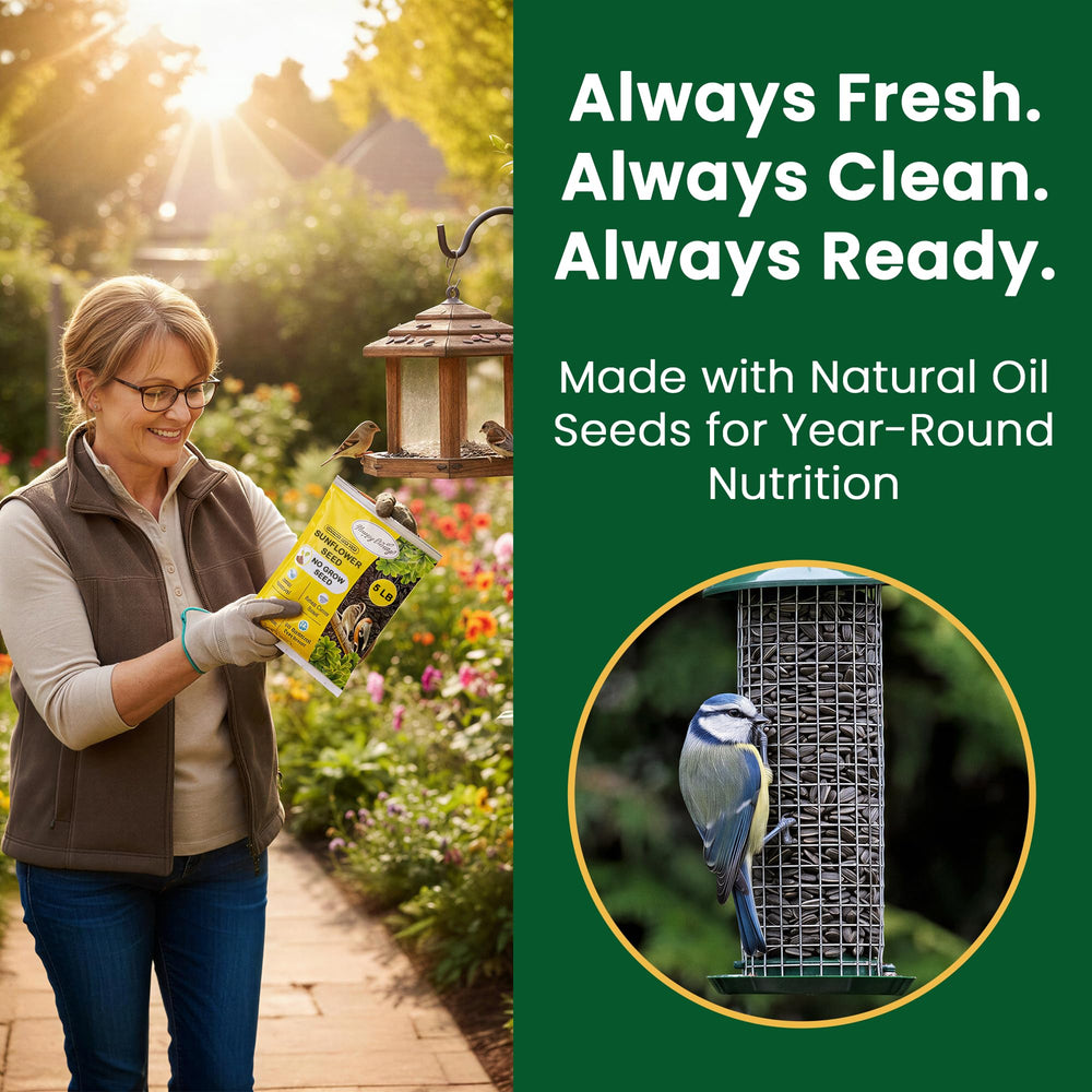 Happy Wings stored in an airtight container for freshness and pest prevention