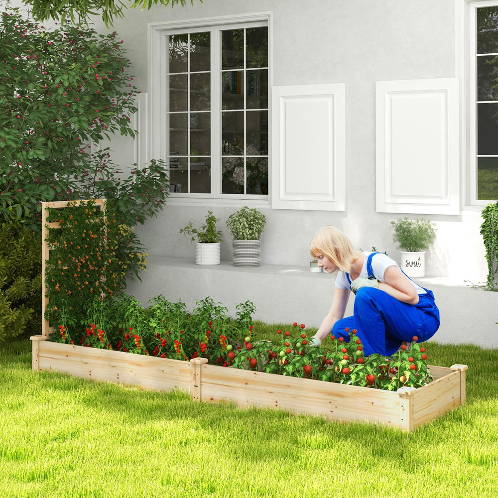 HAPPYGRILL trellis close-up displaying sturdy support for climbing plants