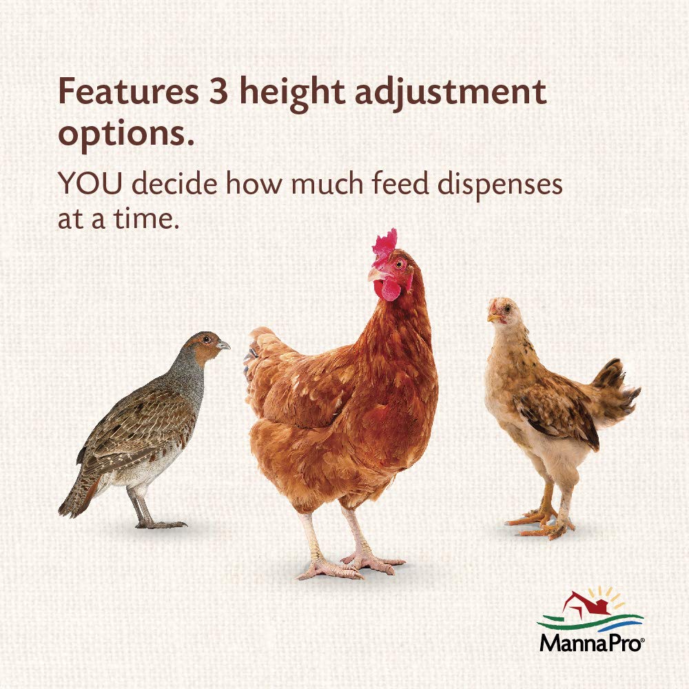 Harris Farms feeder hanging in a coop showing easy access and reduced waste