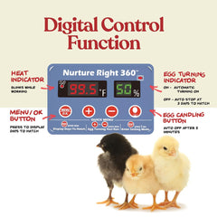 Harris Farms internal egg tray demonstrating organized capacity and flexibility