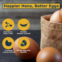 HARTOMPET larvae scattered while chickens forage encouraging natural feeding