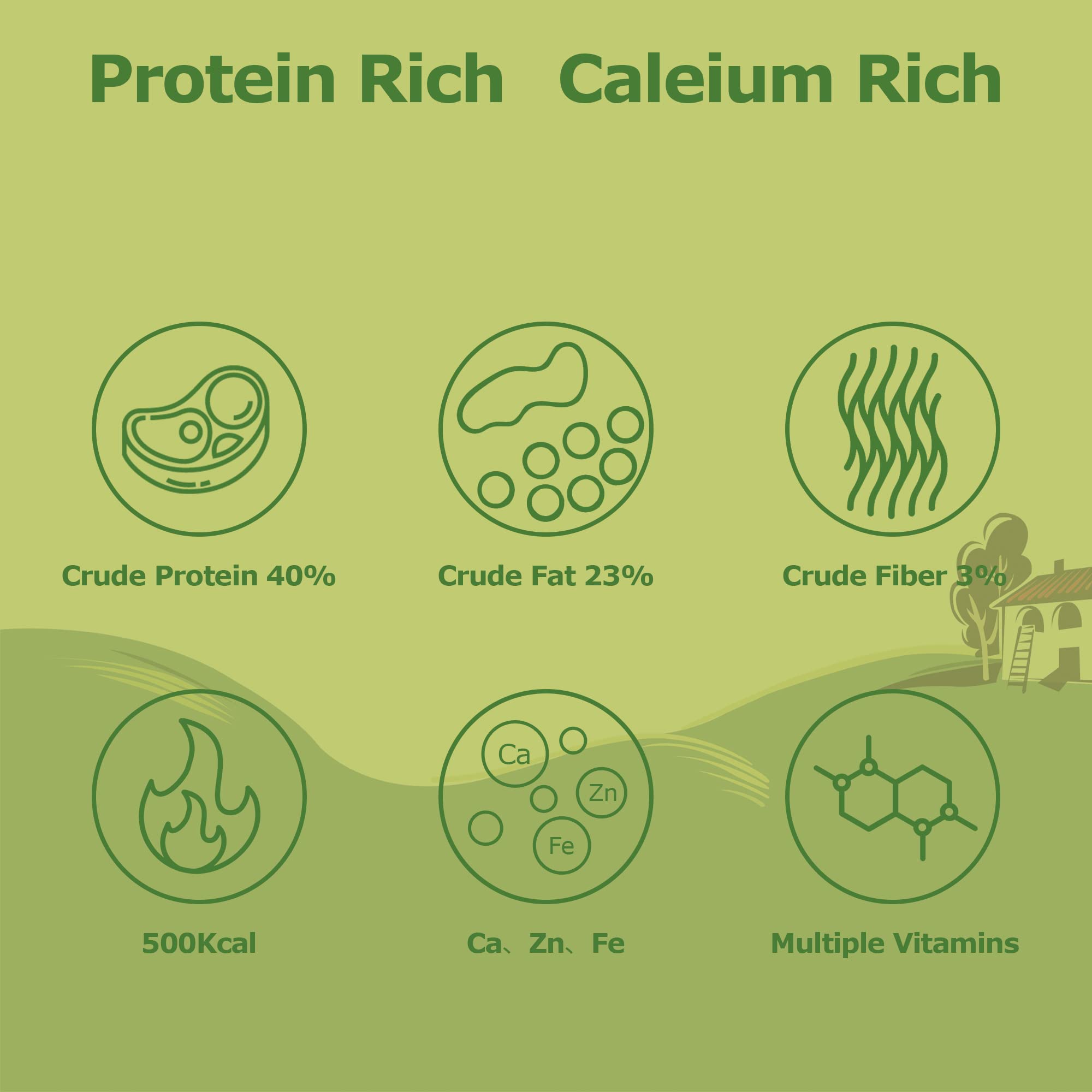 HARTOMPET close-up dried larvae texture highlighting high protein