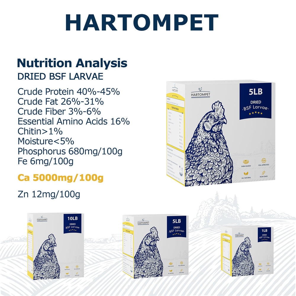 HARTOMPET dried BSF larvae close-up texture highlighting high protein