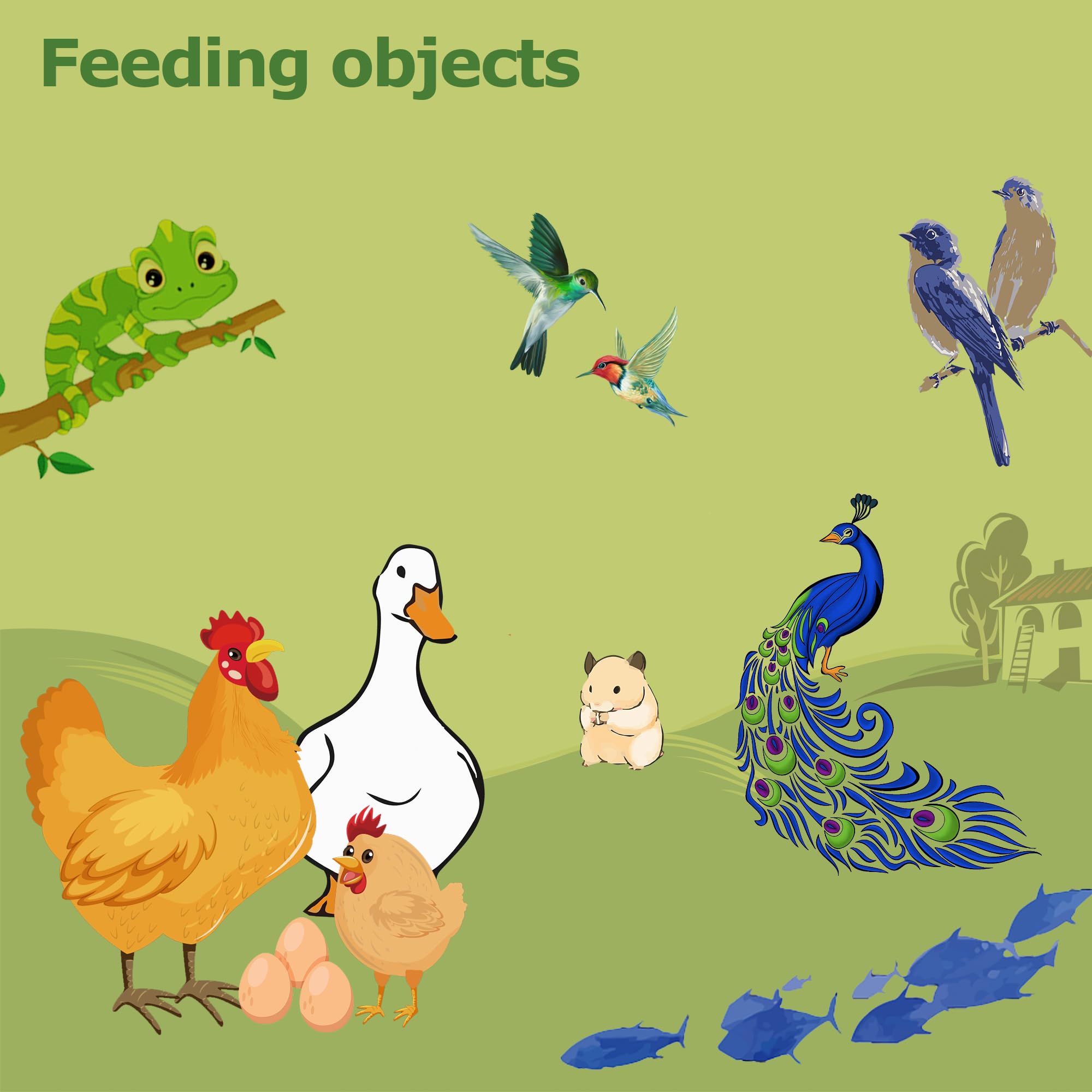 HARTOMPET larvae being fed to ducks outside for enhanced diet