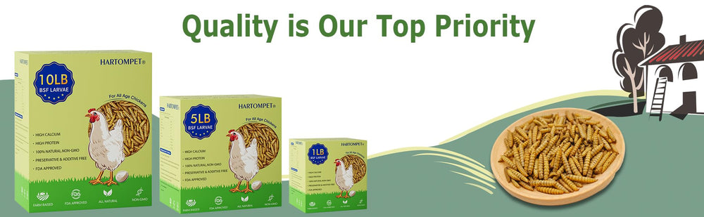 HARTOMPET feeding tray with mixed pets enjoying protein-rich treat