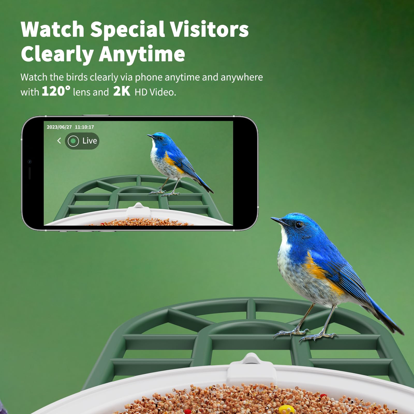 HARYMOR mounted on branch in garden showing natural observation benefits