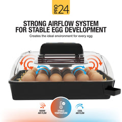 Hatching Time Pro24 control panel display with digital temperature and humidity readout