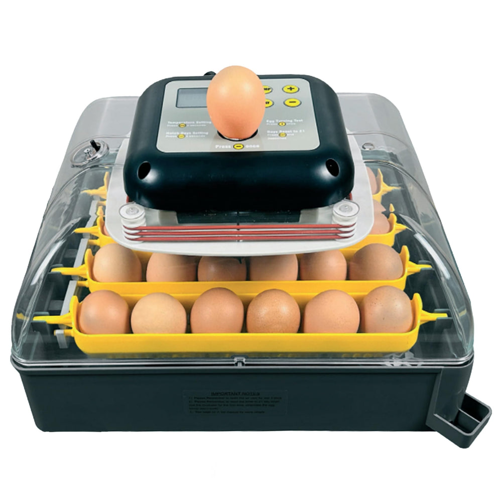 Hatching Time Pro24 front view showing compact incubator and benefits of portability