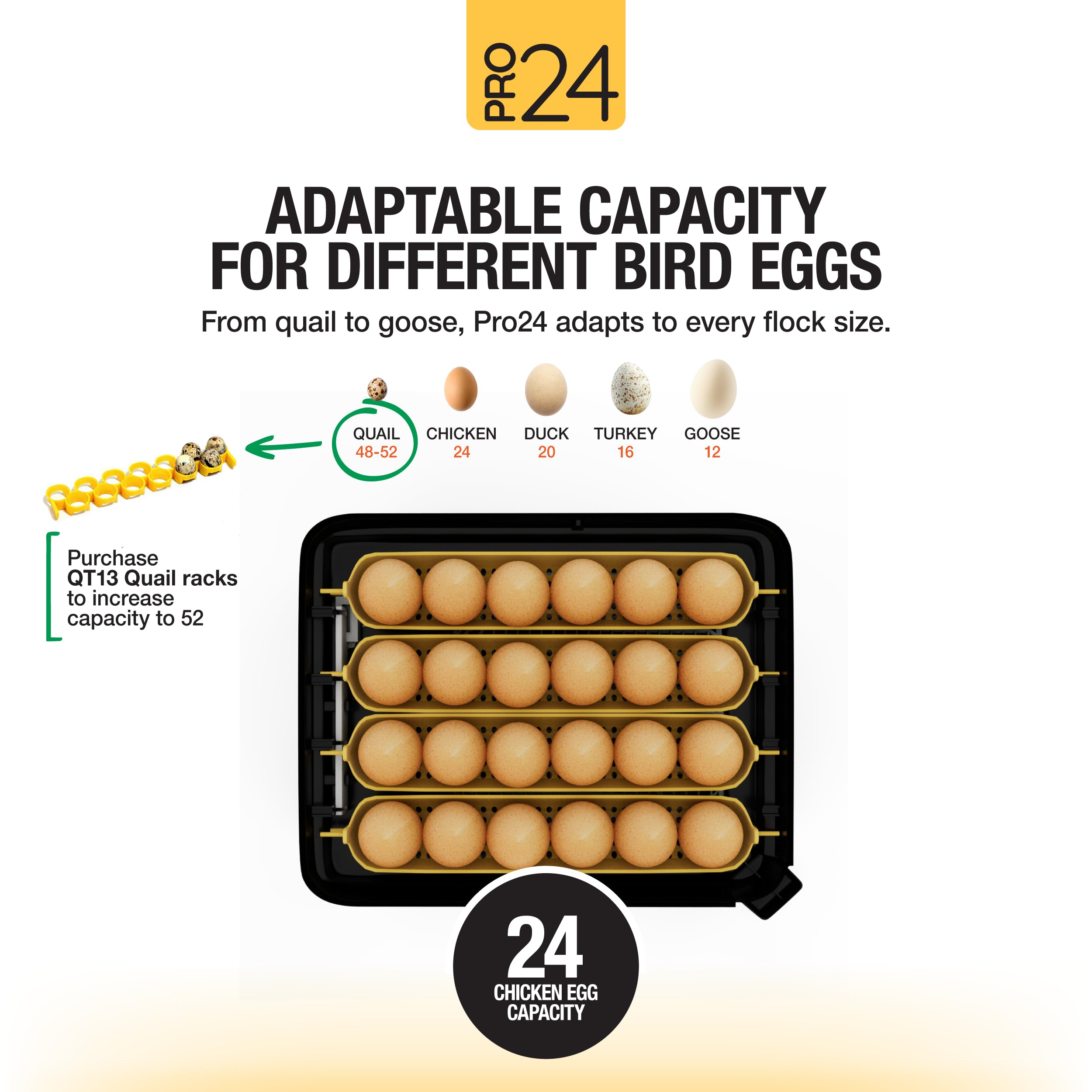 Hatching Time Pro24 interior arranged with mixed eggs to show multi-species capacity