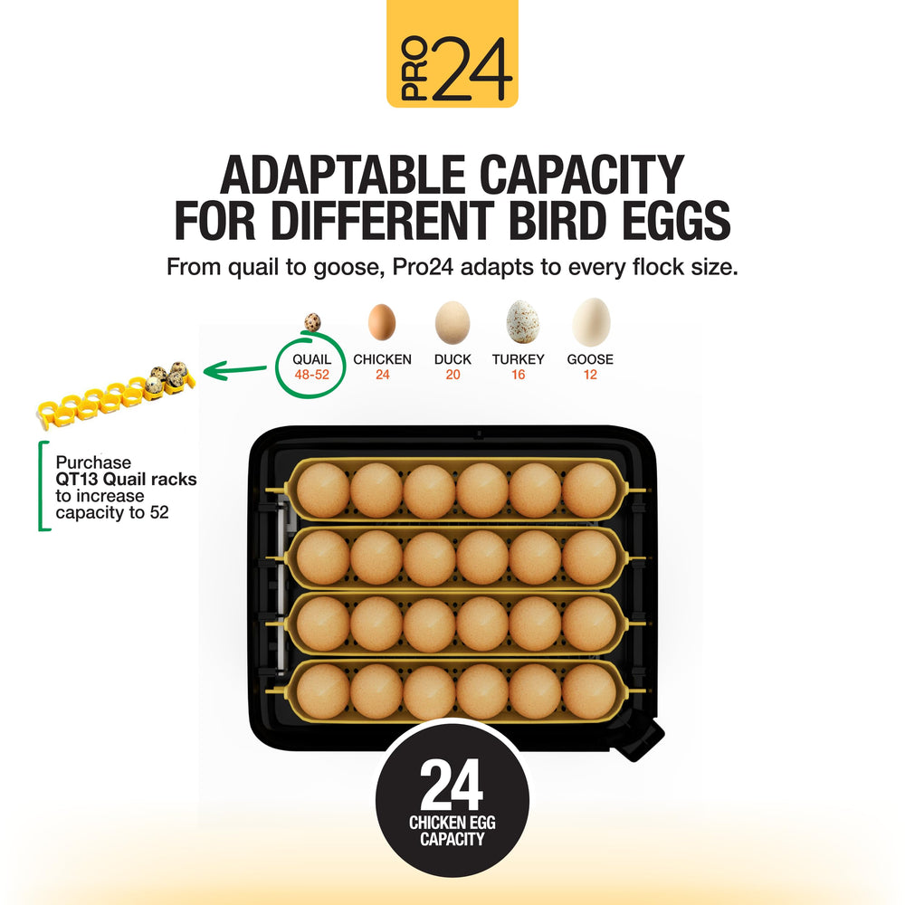 Hatching Time Pro24 interior arranged with mixed eggs to show multi-species capacity