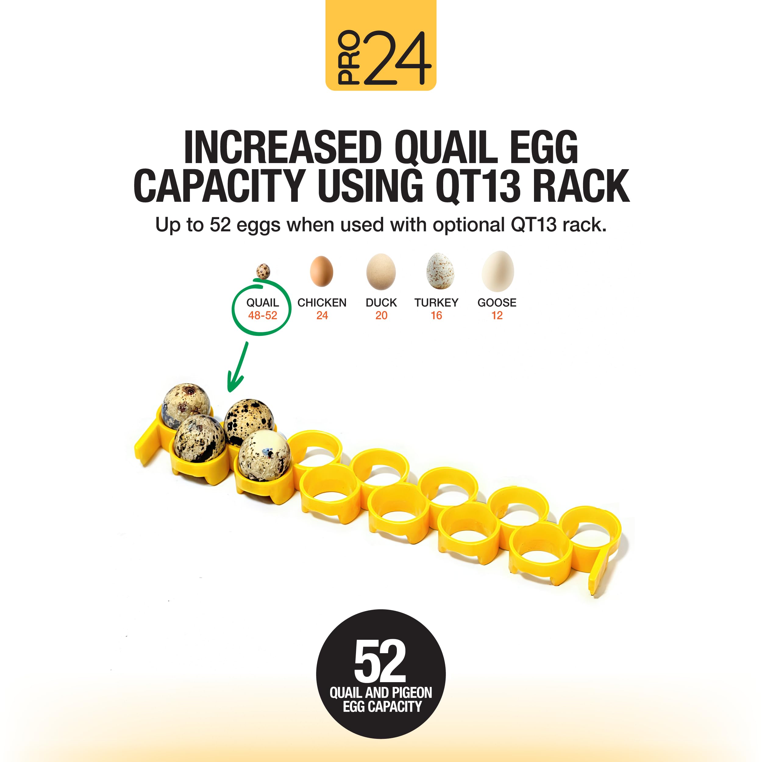 Hatching Time Pro24 next to hands to show compact size and easy tabletop placement