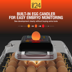 Hatching Time Pro24 transparent lid offering 360-degree visibility for monitoring embryos