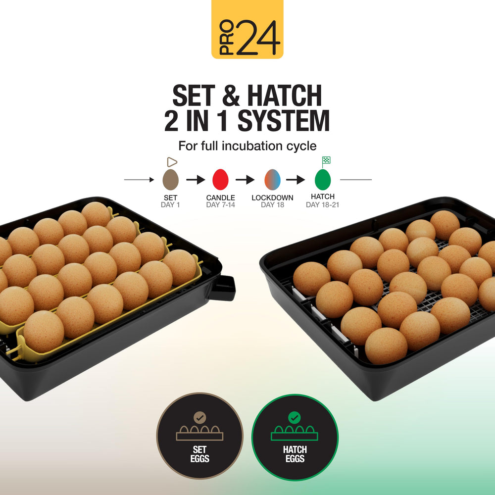 Hatching Time Pro24 external water refill port for maintaining humidity without disturbance