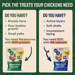 Hatortempt mealworms scattered at bird feeder attracting wild birds