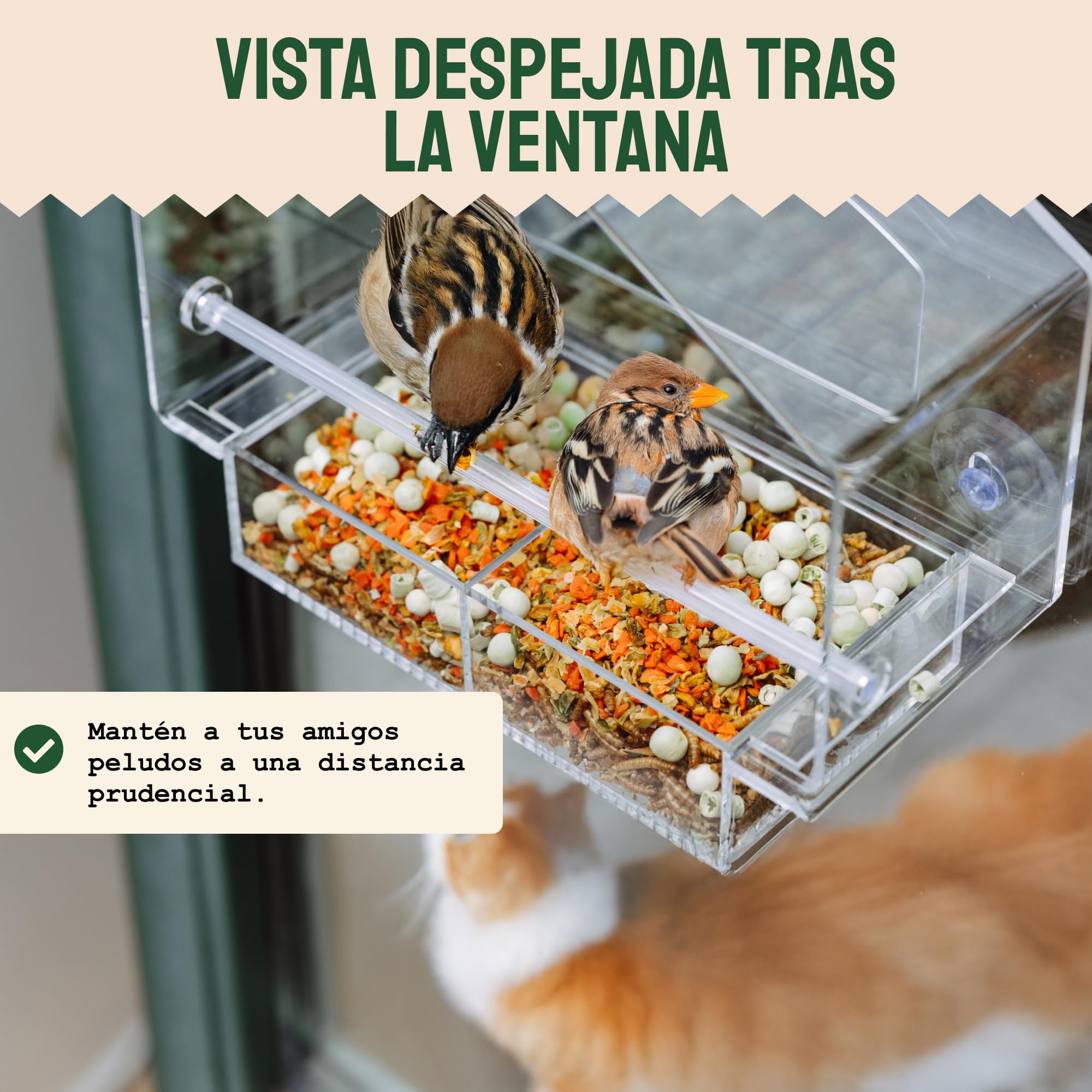 Hatortempt seed level visible through plastic showing quick refill awareness benefit