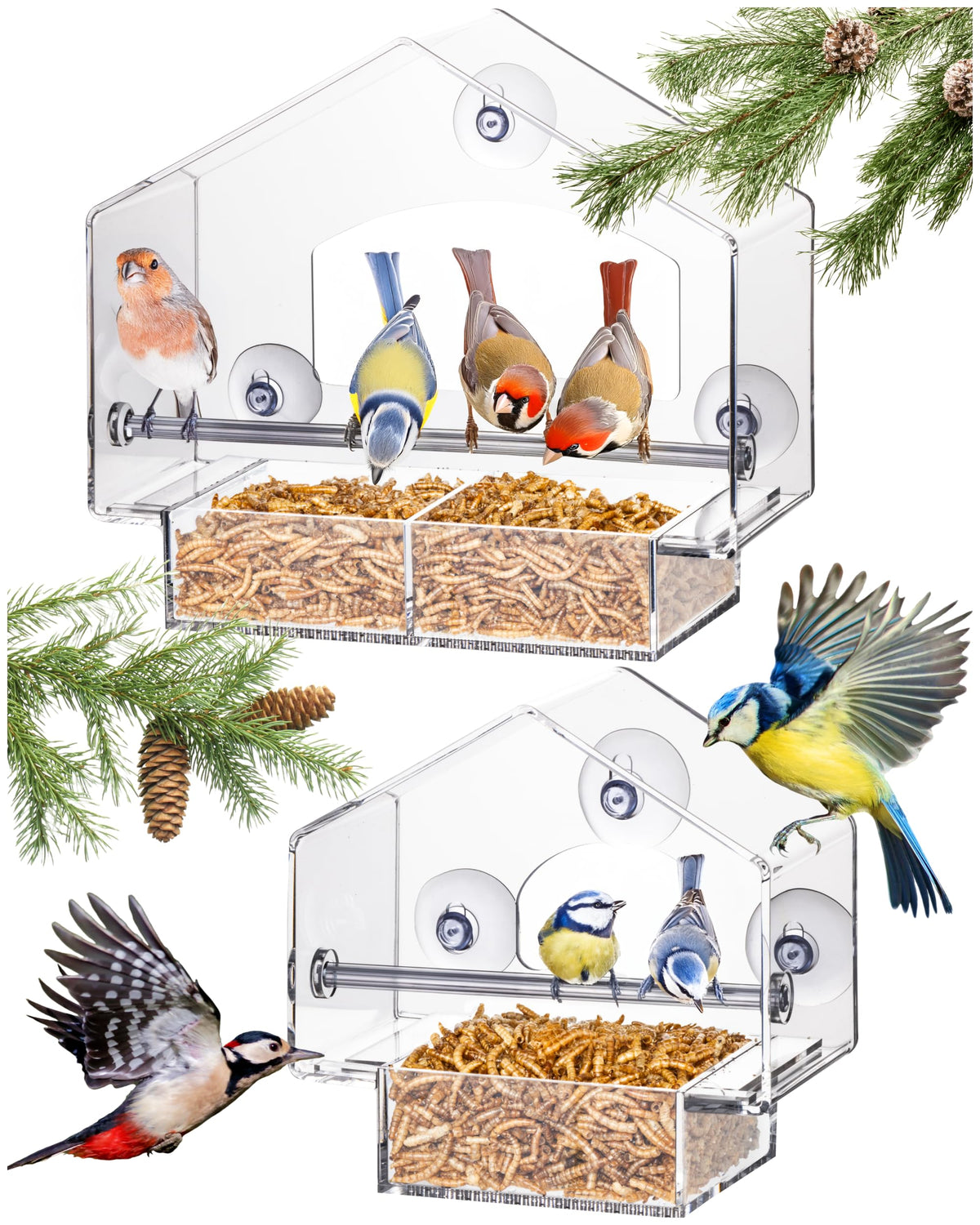 Hatortempt clear feeder front view showing stable mounting and easy viewing benefit