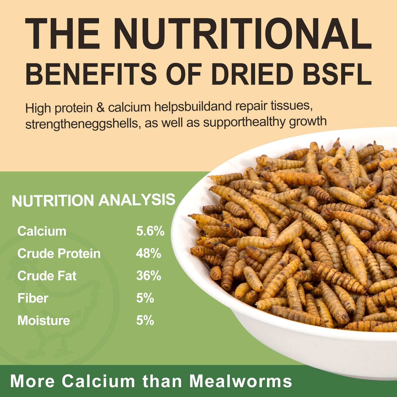 HATORTOP close-up of dried larvae texture highlighting crispy, nutrient-retaining benefit