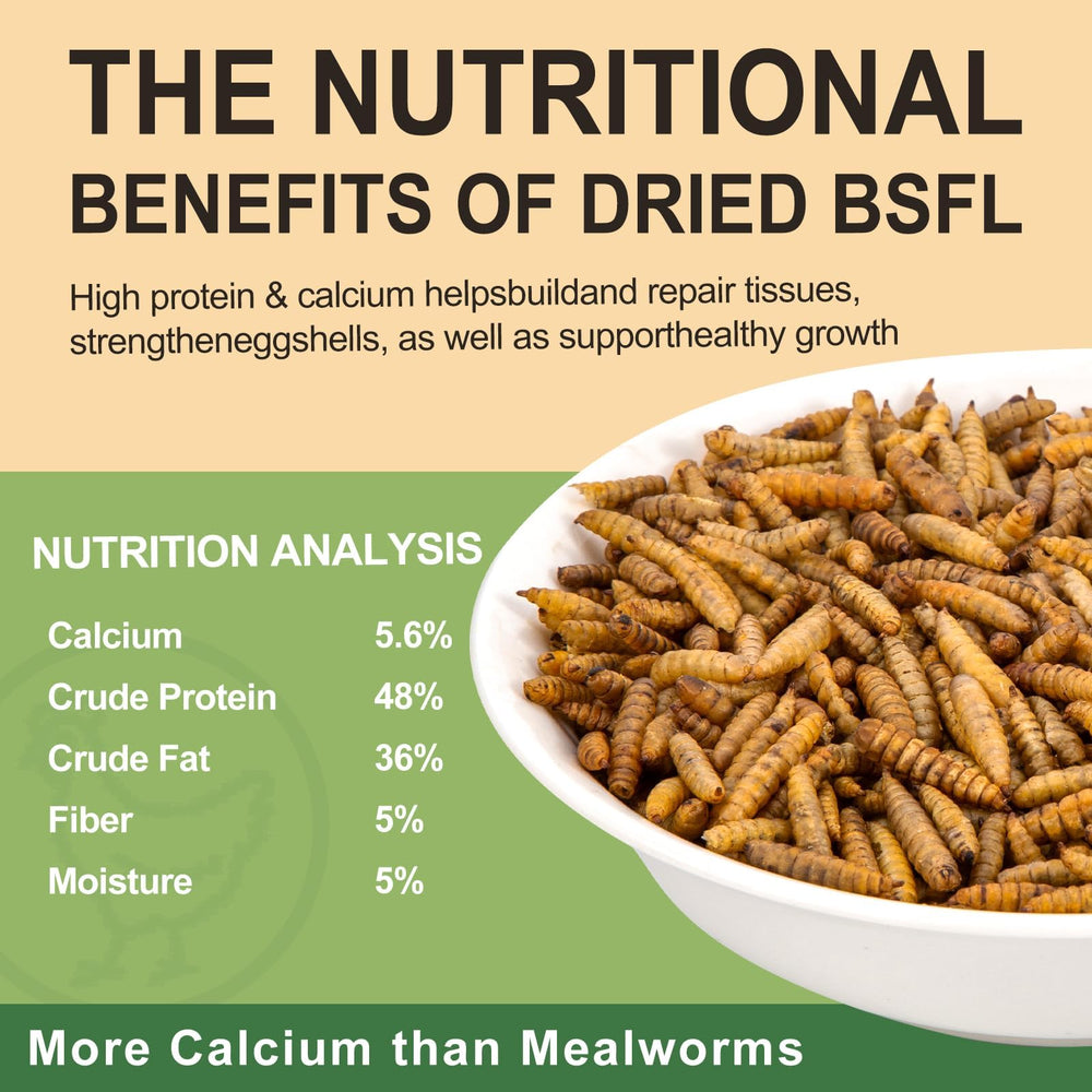 HATORTOP close-up of dried larvae texture highlighting crispy, nutrient-retaining benefit
