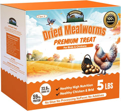 HATORTOP close-up of dried mealworm texture highlighting crunchy protein