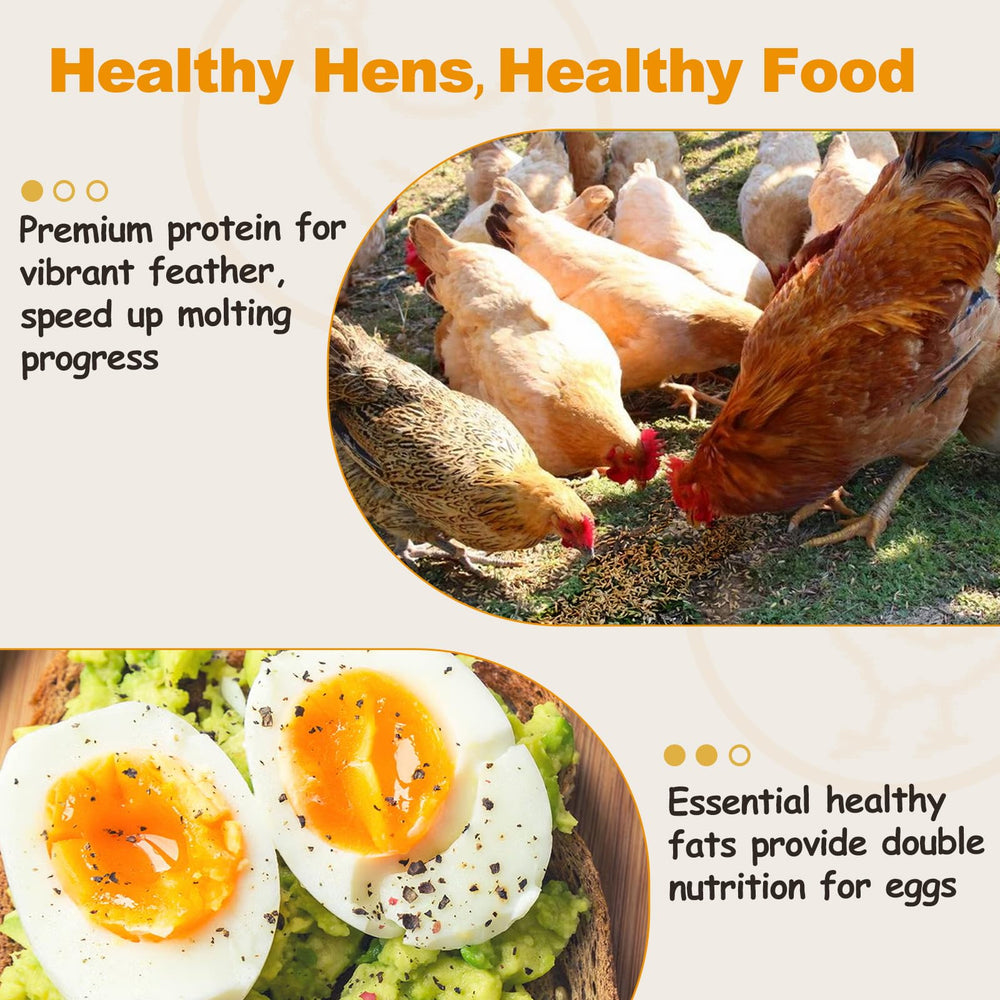 HATORTOP mealworms offered to a reptile for varied nutrition