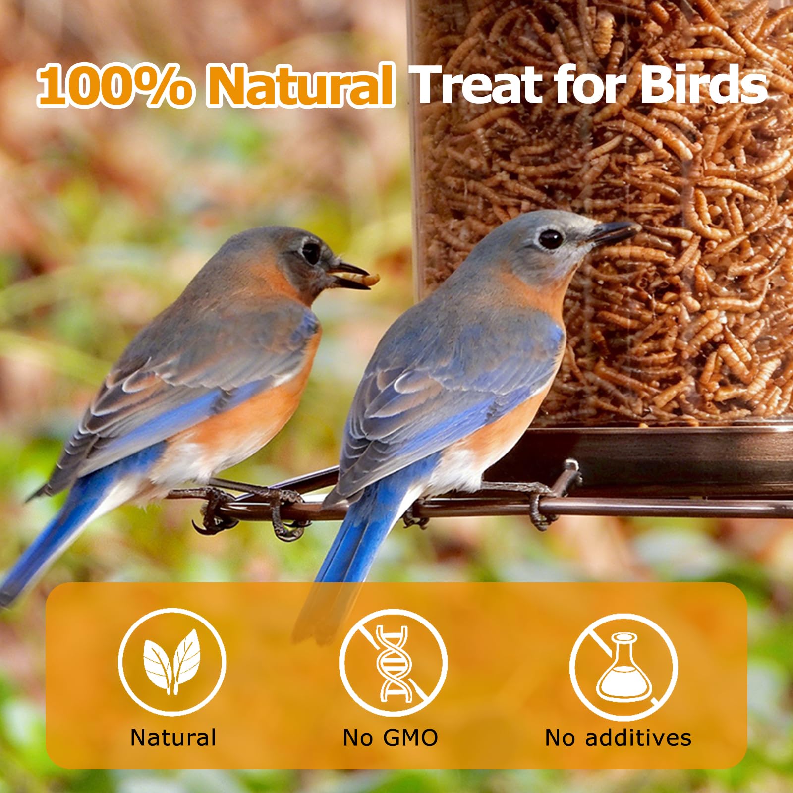 HATORTOP scattered mealworms attracting wild birds to yard
