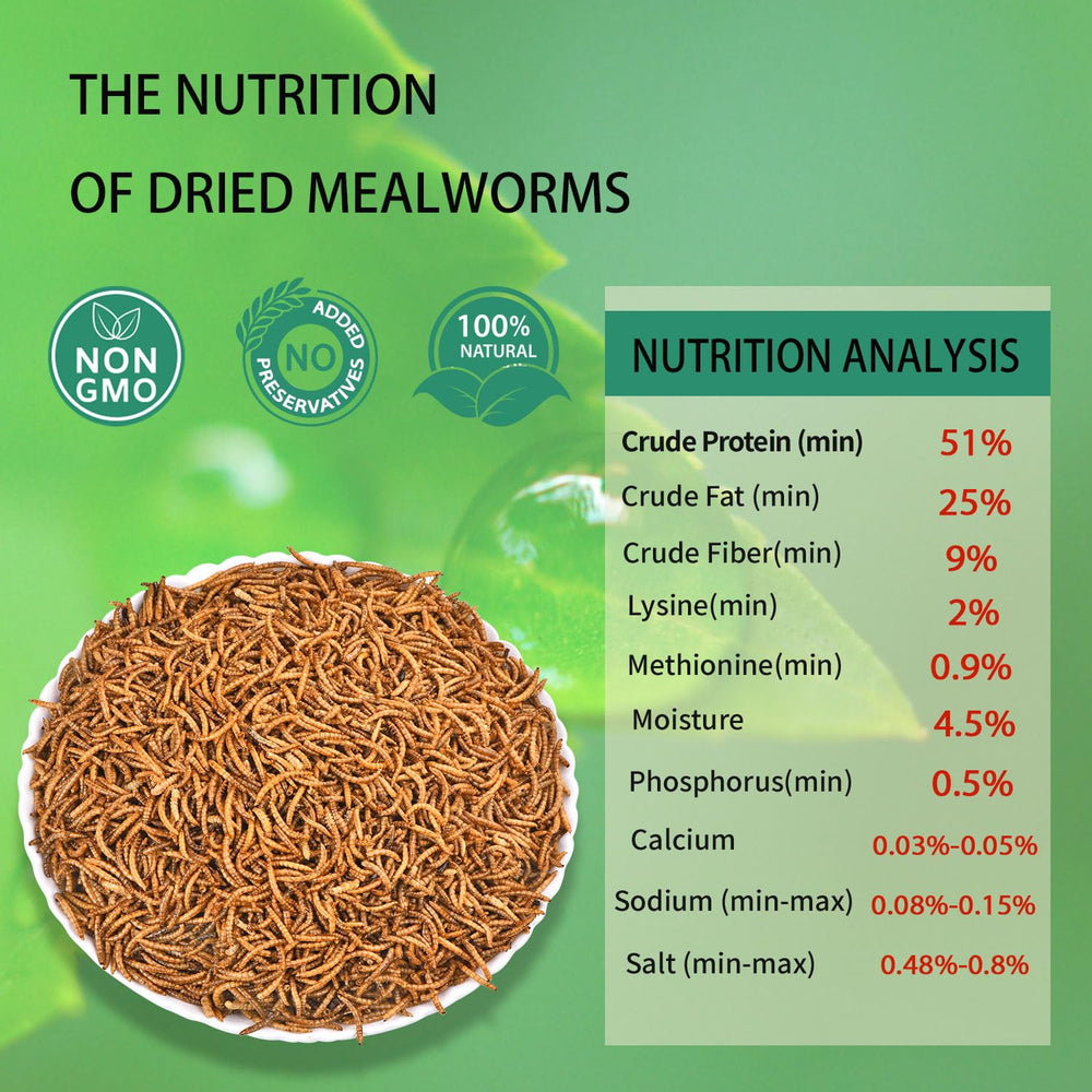 hatortpet close-up texture of dried mealworms highlighting protein-rich quality