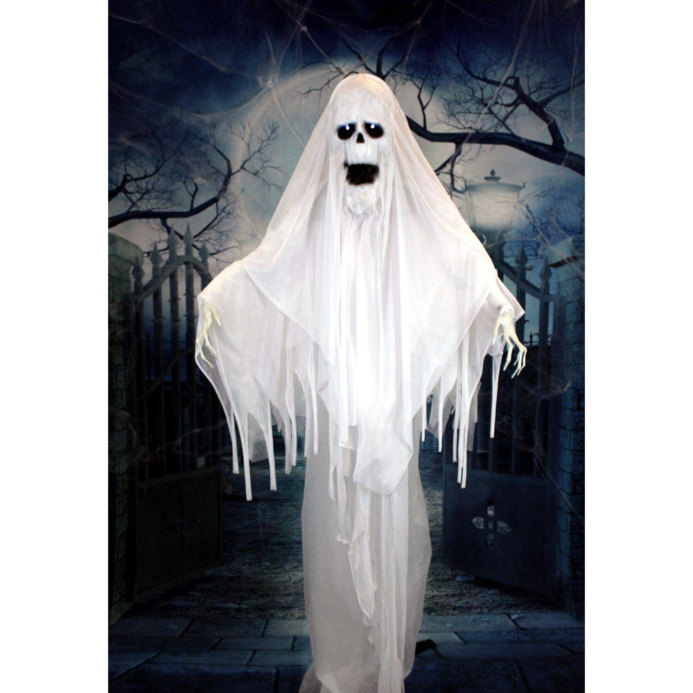 Haunted Hill Farm ghost box and label showing brand, model, and contents for verification