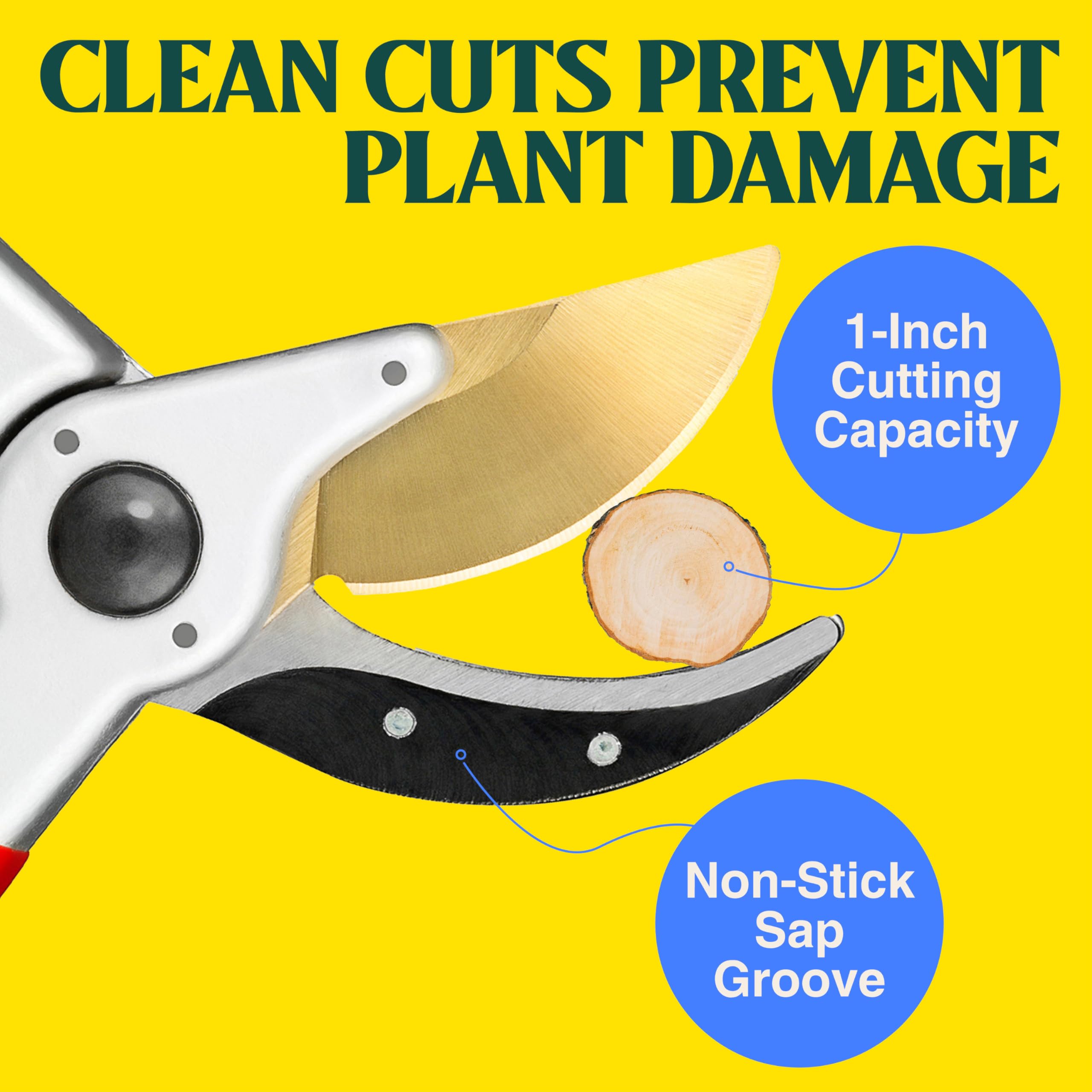 Haus & Garten cutting a stem to show clean bypass action and healthier cuts