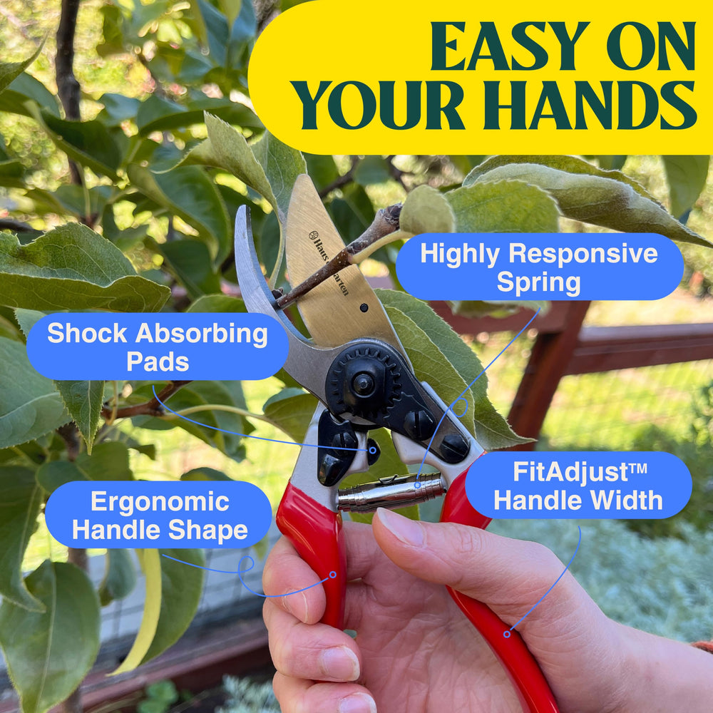 Haus & Garten cutting a rose stem illustrating precise bypass action for healthier pruning