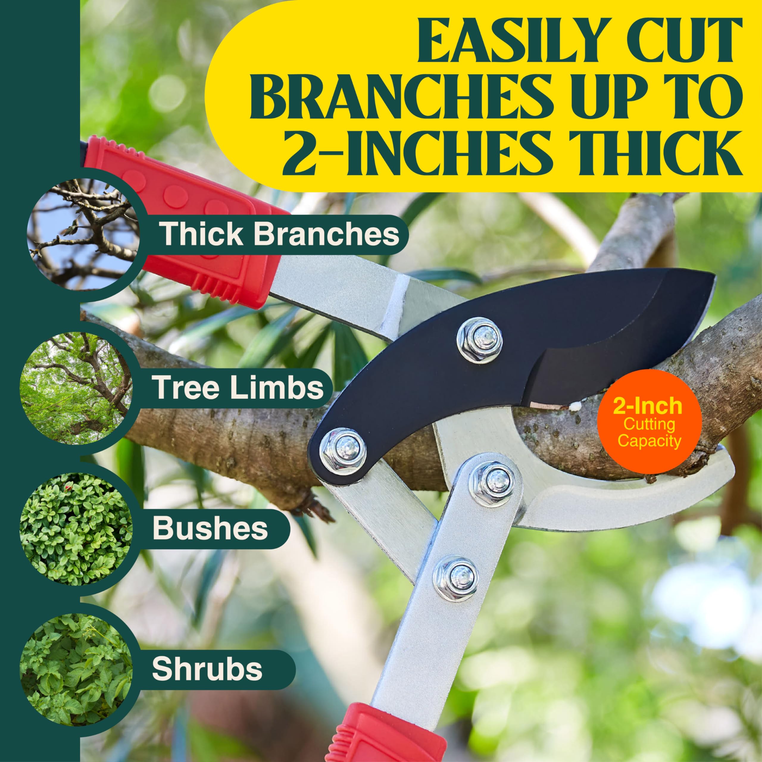Haus & Garten loppers cutting a 2-inch branch demonstrating effortless pruning