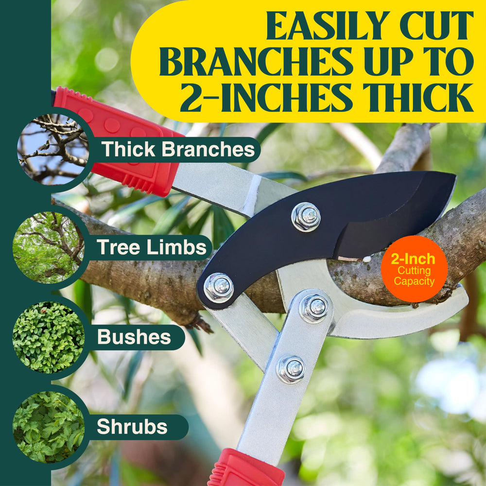 Haus & Garten loppers cutting a 2-inch branch demonstrating effortless pruning